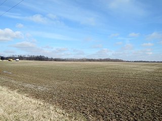 Property photo 6 - LAND AUCTION, 211+/- Acres offered in 3 Tracts